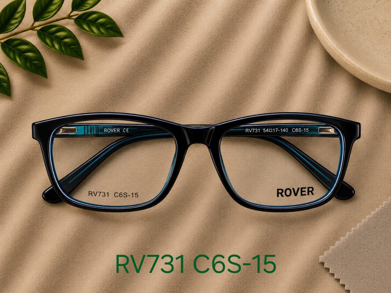 RV766 C6S (black cat-eye with gold temple tips) by Rover — Spectacle Frames